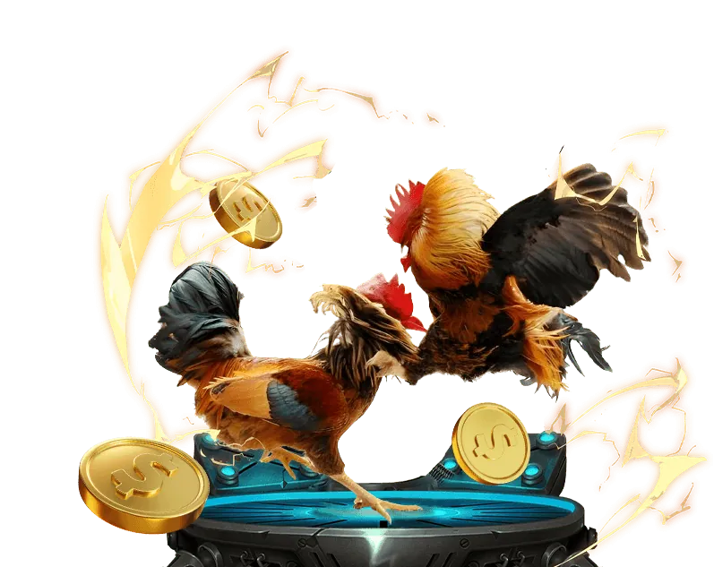 Hoàn trả cược đá gà alo789